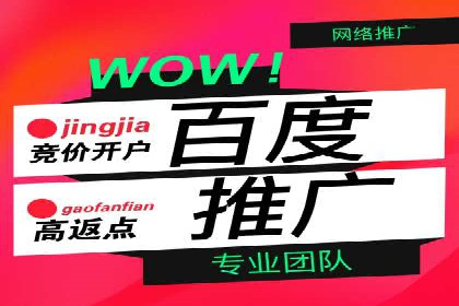 百度SEM广告投放的创意与执行：成功案例详解